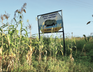 Wechiau Hippo Sanctuary