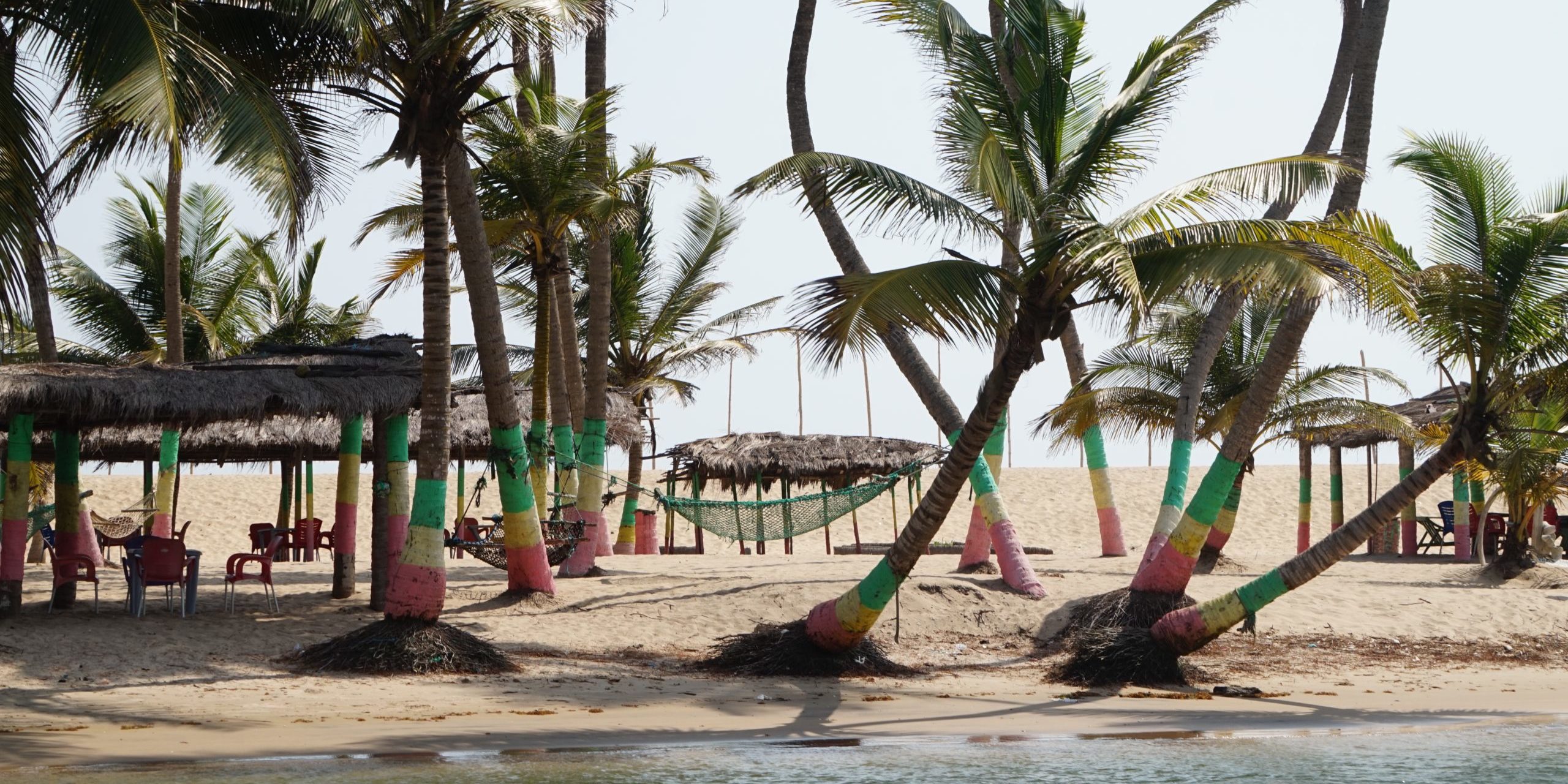 Ghana flag painted on trees