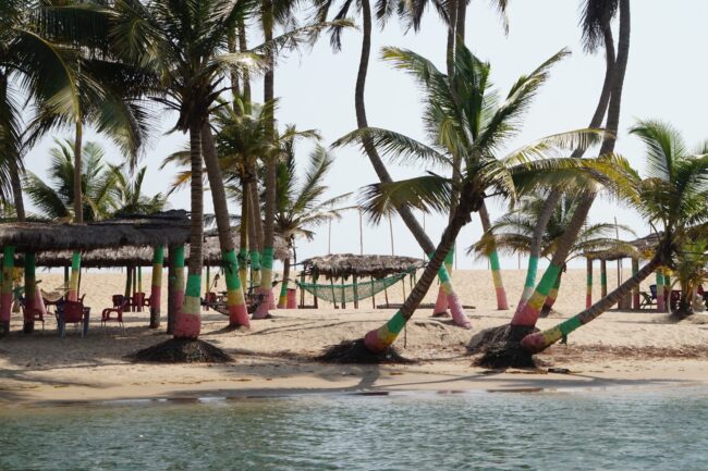 Ghana flag painted on trees