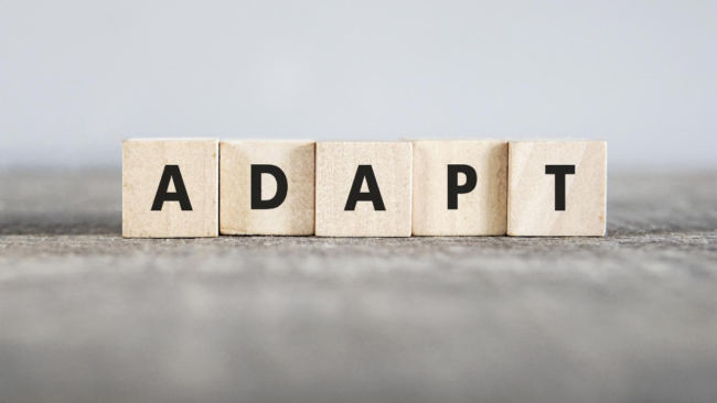 The different phases of adaptation in expatriation (Blog pic)
