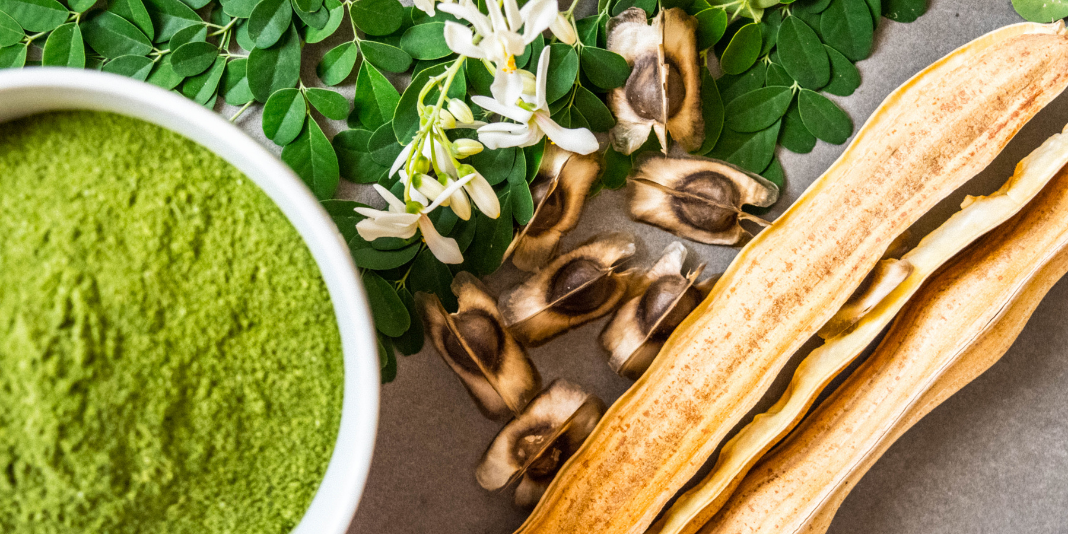 Moringa for blog